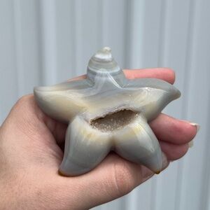 Starfish Shaped Agate Crystal